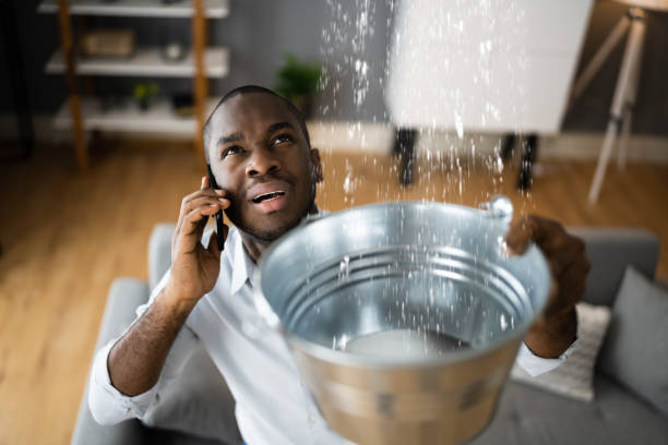 Best Water damage restoration near me  in Frazer, PA