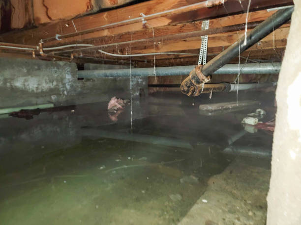 Best Residential water damage restoration  in Frazer, PA
