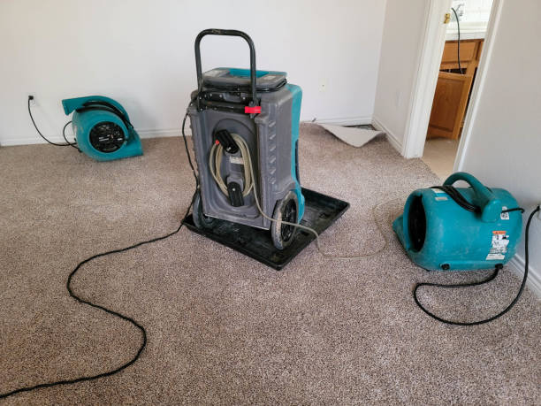 Best 24/7 water damage repair  in Frazer, PA