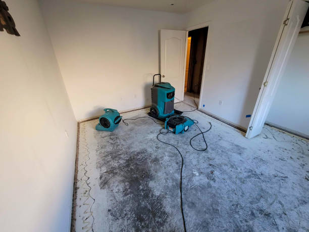 Best Water damage restoration specialists  in Frazer, PA