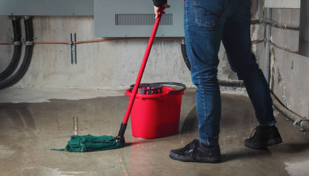 Best Mold removal after water damage  in Frazer, PA