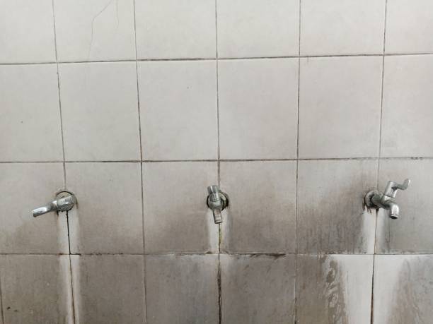 Best Water damage mitigation services  in Frazer, PA